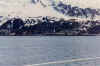 wpe44.jpg (39496 bytes)